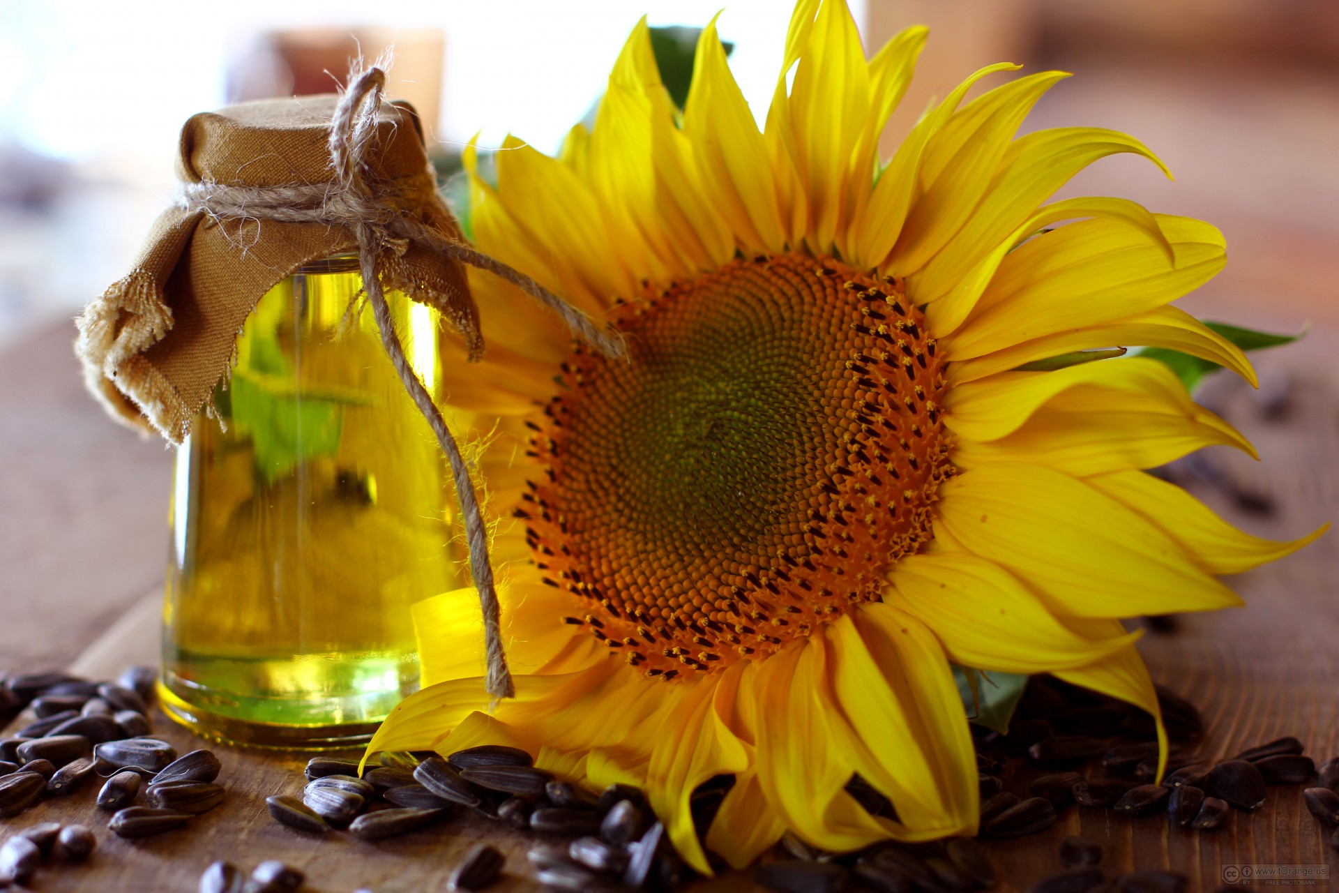 worst cooking oils for health